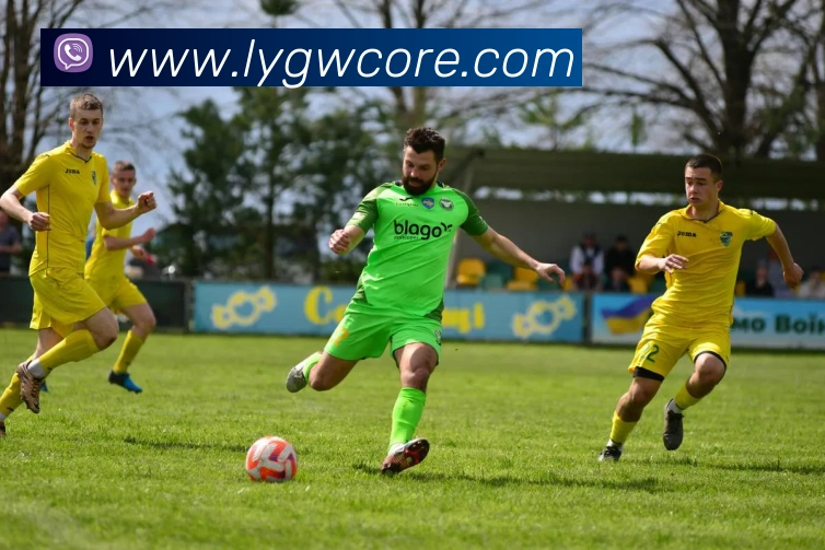 利盈官网服务体系