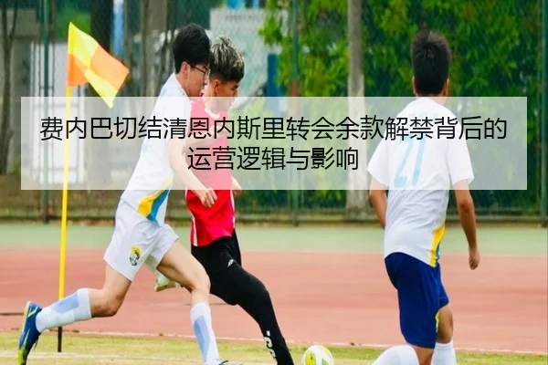 费内巴切结清恩内斯里转会余款解禁背后的运营逻辑与影响 | LiYing